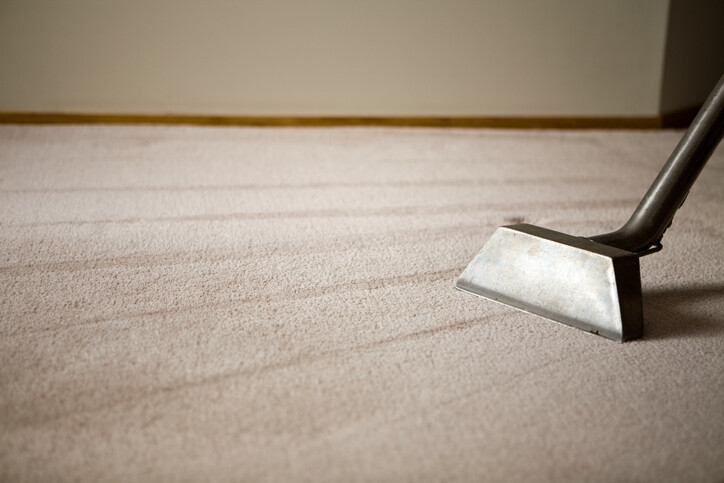 Steam Cleaning by Procare Carpet & Upholstery Cleaning