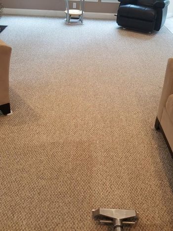 carpet cleaning procare