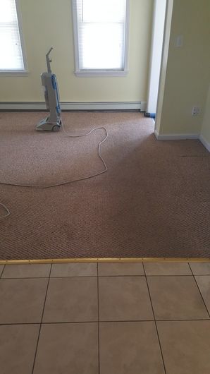 Carpet Cleaning in Taunton, MA (1)