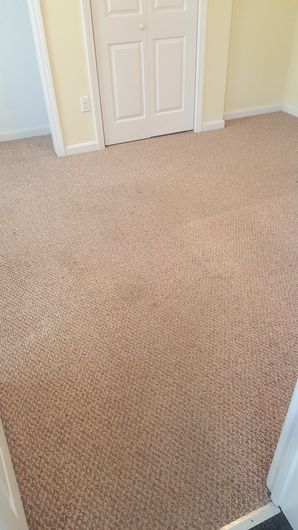 Carpet Cleaning in Taunton, MA (1)