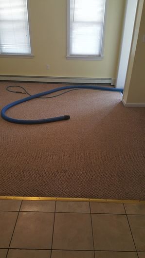 Carpet Cleaning in Taunton, MA (2)