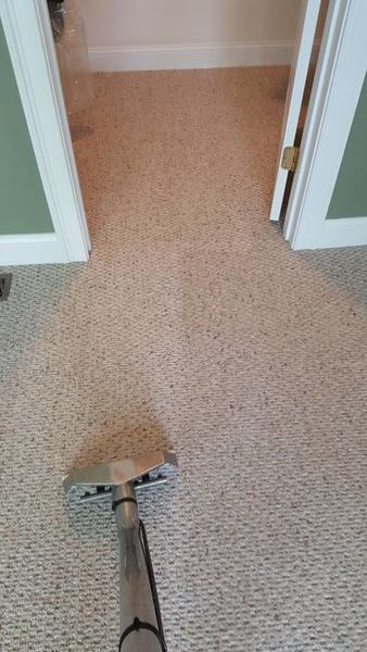 Carpet Cleaning in Norton, MA (1)