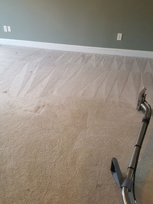 Carpet Cleaning in Norton, MA (2)