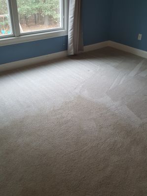 Carpet Cleaning in Norton, MA (1)