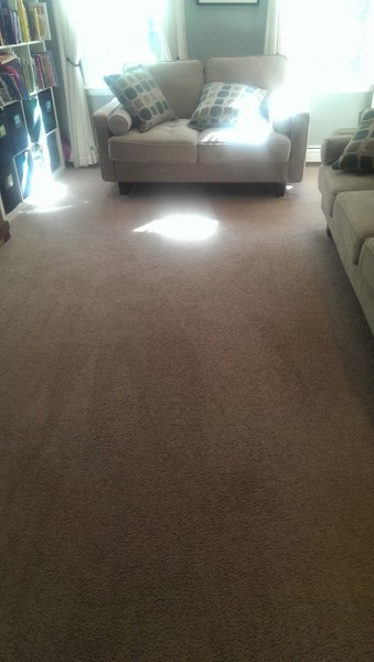 Living room carpet cleaned in Mansfield, Ma
