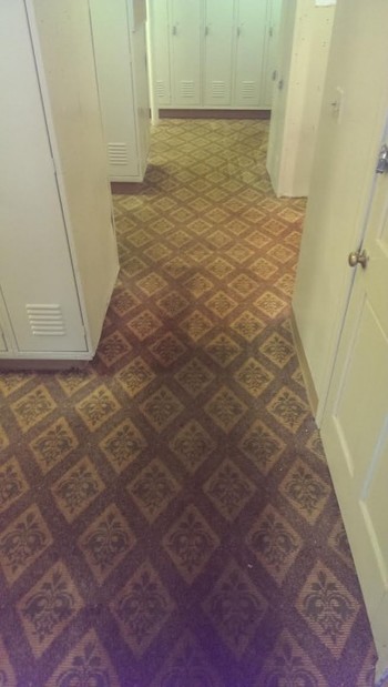 Carpet cleaning in Norton, MA