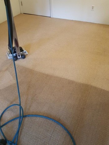 Carpet Cleaning Mansfield MA