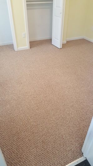 Carpet Cleaning in Taunton, MA (2)