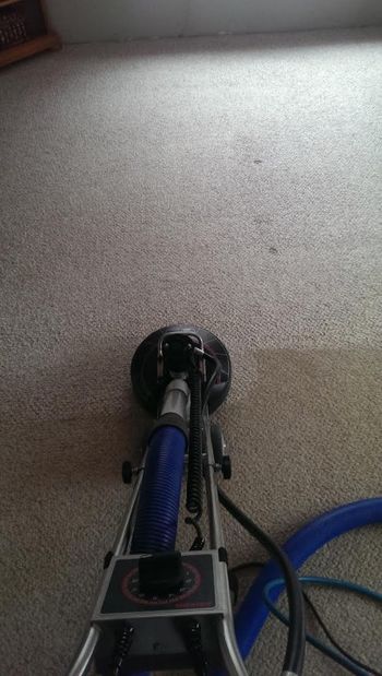 Carpet cleaning in Taunton, MA