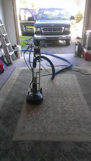 Area Rug Cleaning in Raynham, MA
