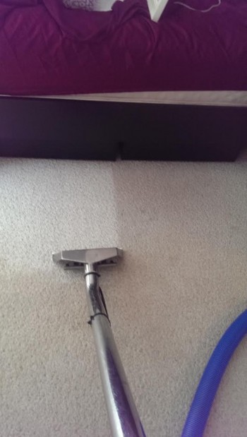 Carpet Cleaning in Taunton, MA